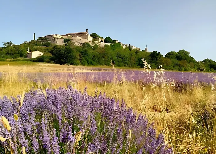 L'atelier De Raymond * Verfeuil